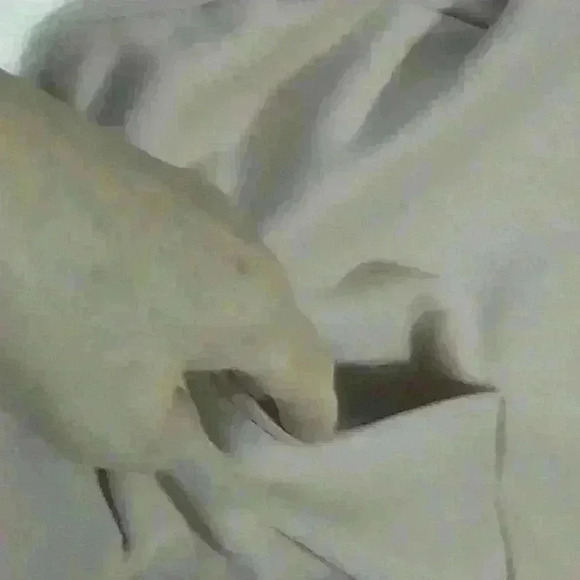 H&M "Divided" hooded sweatshirt - Picture 3 of 5